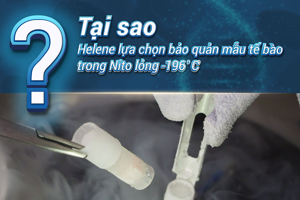 TẠI SAO HELENE LỰA CHỌN BẢO QUẢN MẪU TẾ BÀO TRONG NITƠ LỎNG -196°C